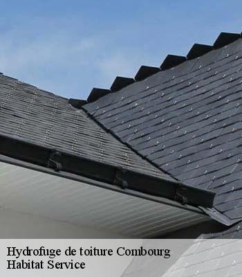Hydrofuge de toiture