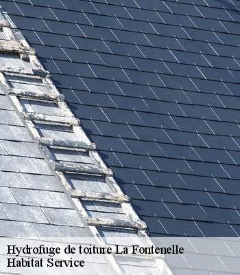 Hydrofuge de toiture
