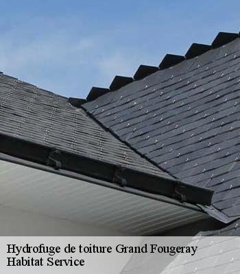 Hydrofuge de toiture