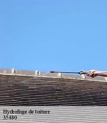 Hydrofuge de toiture