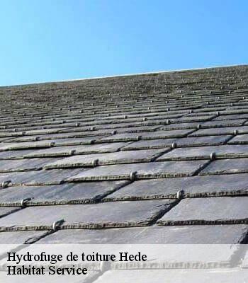 Hydrofuge de toiture