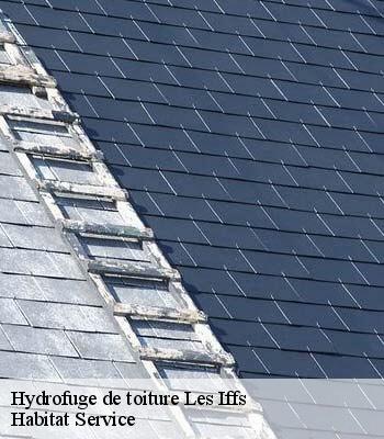 Hydrofuge de toiture