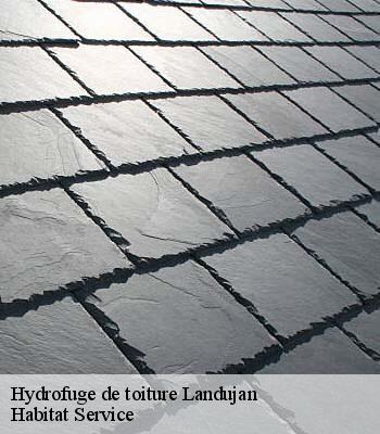 Hydrofuge de toiture
