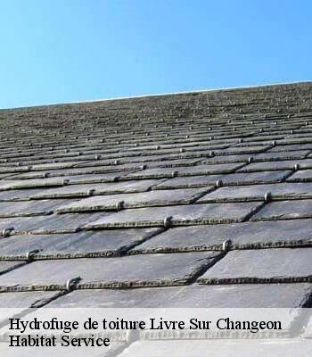 Hydrofuge de toiture