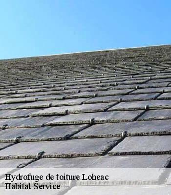 Hydrofuge de toiture