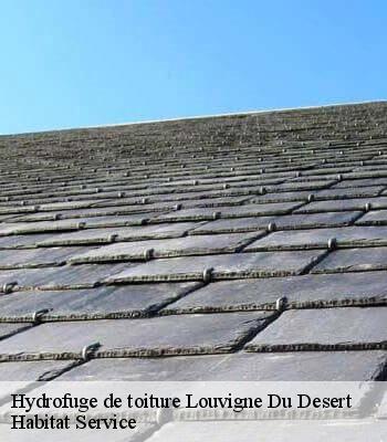 Hydrofuge de toiture