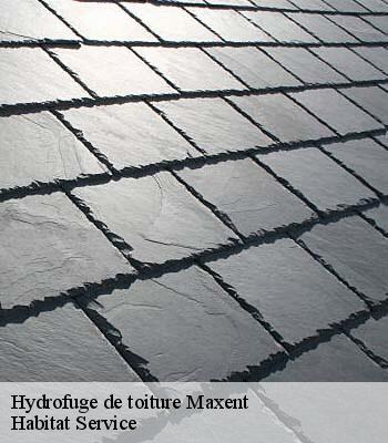 Hydrofuge de toiture