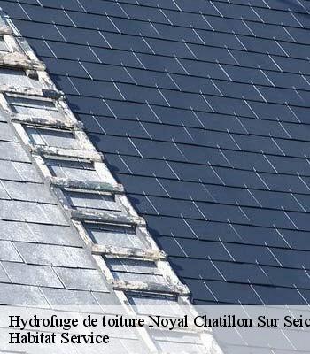 Hydrofuge de toiture