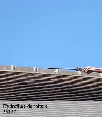 Hydrofuge de toiture