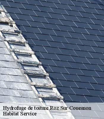 Hydrofuge de toiture