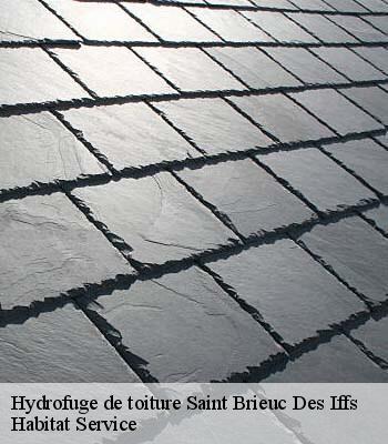 Hydrofuge de toiture