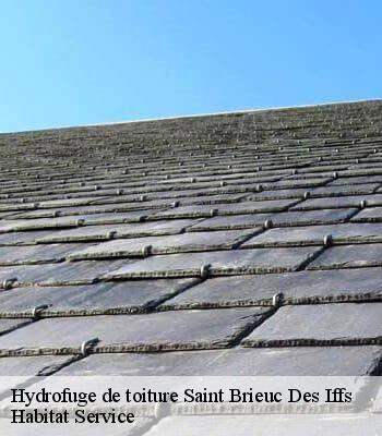 Hydrofuge de toiture