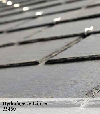 Hydrofuge de toiture