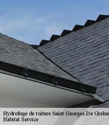 Hydrofuge de toiture