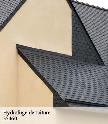 Hydrofuge de toiture