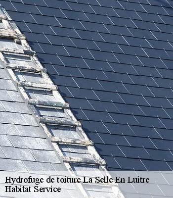 Hydrofuge de toiture