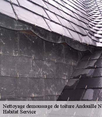 Nettoyage demoussage de toiture