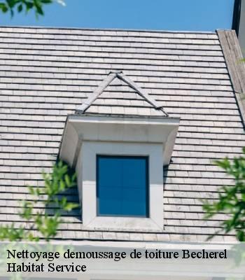 Nettoyage demoussage de toiture