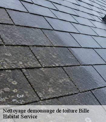 Nettoyage demoussage de toiture