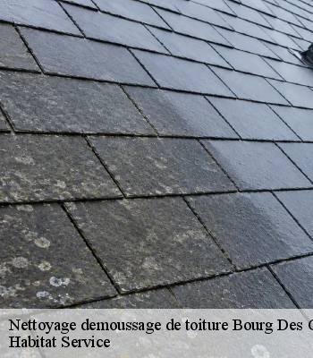 Nettoyage demoussage de toiture