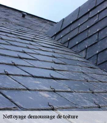 Nettoyage demoussage de toiture