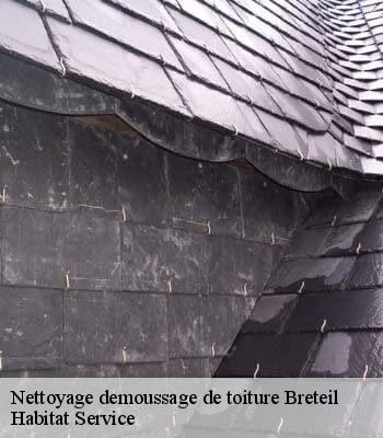 Nettoyage demoussage de toiture
