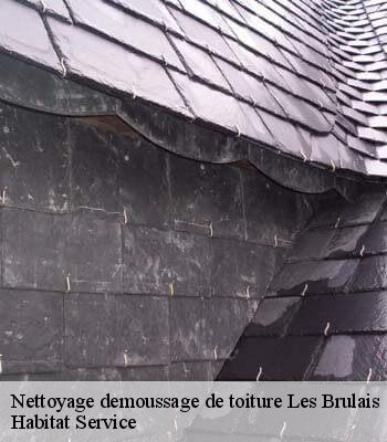 Nettoyage demoussage de toiture