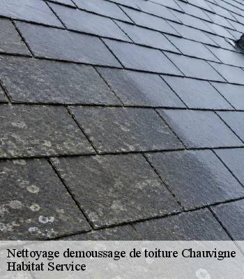 Nettoyage demoussage de toiture