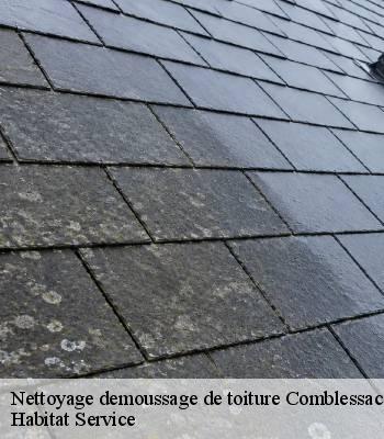 Nettoyage demoussage de toiture