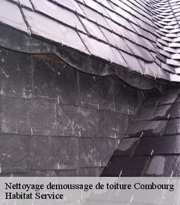 Nettoyage demoussage de toiture