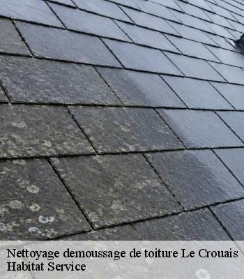 Nettoyage demoussage de toiture