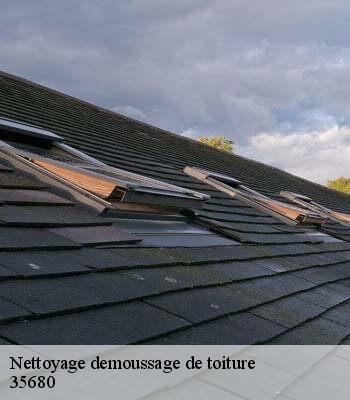 Nettoyage demoussage de toiture