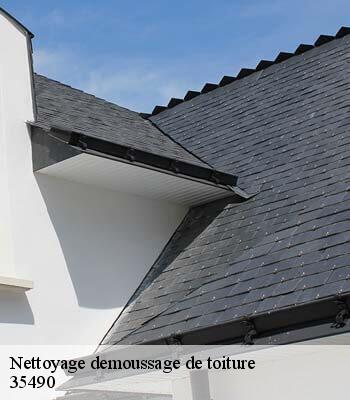 Nettoyage demoussage de toiture