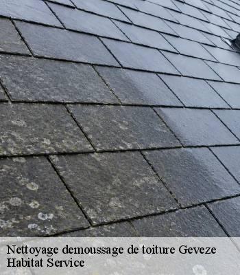 Nettoyage demoussage de toiture