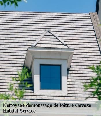 Nettoyage demoussage de toiture