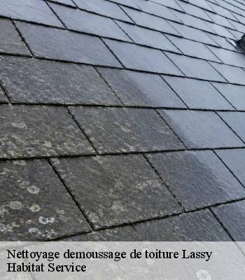Nettoyage demoussage de toiture