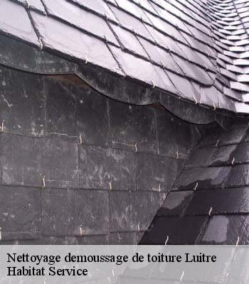 Nettoyage demoussage de toiture