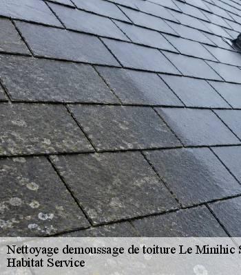 Nettoyage demoussage de toiture