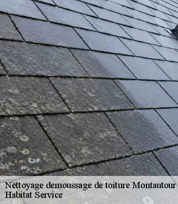 Nettoyage demoussage de toiture