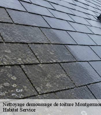 Nettoyage demoussage de toiture