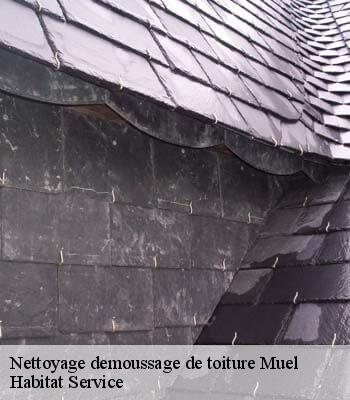 Nettoyage demoussage de toiture