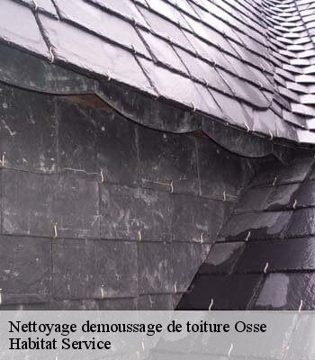 Nettoyage demoussage de toiture