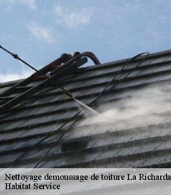 Nettoyage demoussage de toiture
