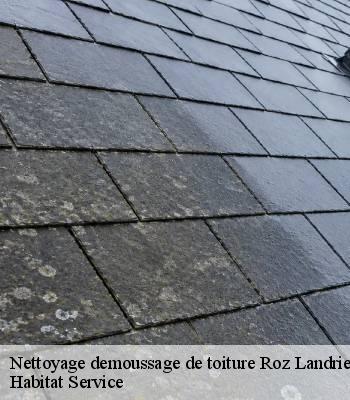 Nettoyage demoussage de toiture
