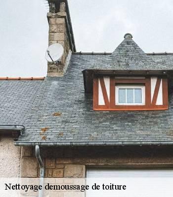 Nettoyage demoussage de toiture