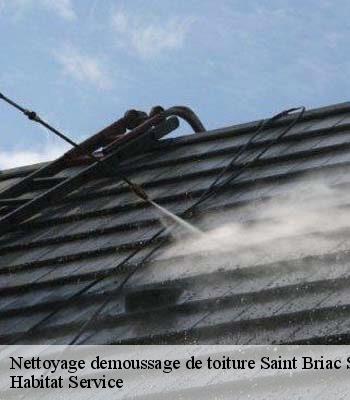 Nettoyage demoussage de toiture