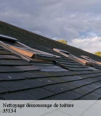 Nettoyage demoussage de toiture