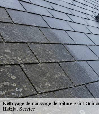 Nettoyage demoussage de toiture
