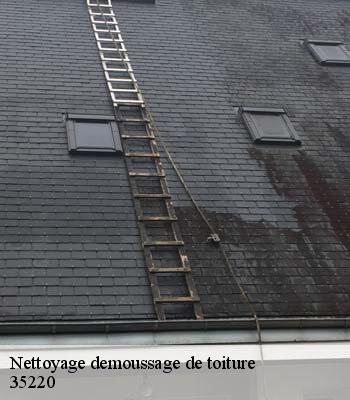 Nettoyage demoussage de toiture