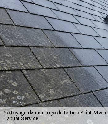 Nettoyage demoussage de toiture